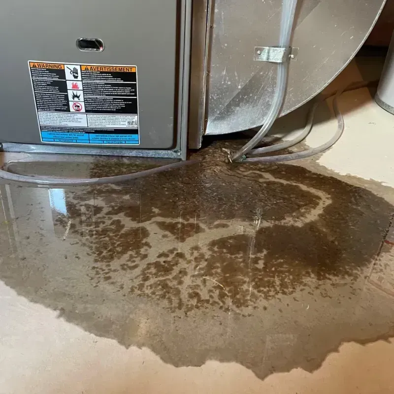 Appliance Leak Cleanup in Ardmore, PA